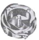 garfio007.jpg