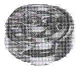 garfio016.jpg