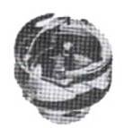garfio044.jpg