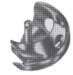 garfio115_small.jpg