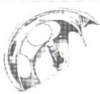 garfio116_small.jpg