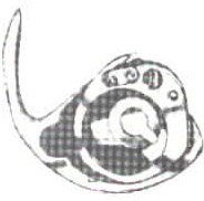 garfio119.jpg