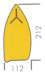 image2438_small.jpg