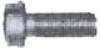 tornillo014_small.jpg