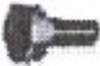 tornillo019_small.jpg
