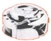 image1022_small.jpg