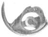 image1058_small.jpg