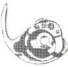 image1072_small.jpg