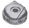 image1090_small.jpg