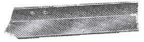 image1341.jpg