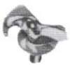 image1570_small.jpg