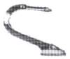 image1636_small.jpg