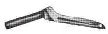 image1741.jpg