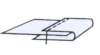 image1995_small.jpg