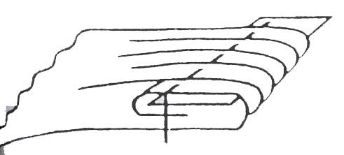 image2023.jpg