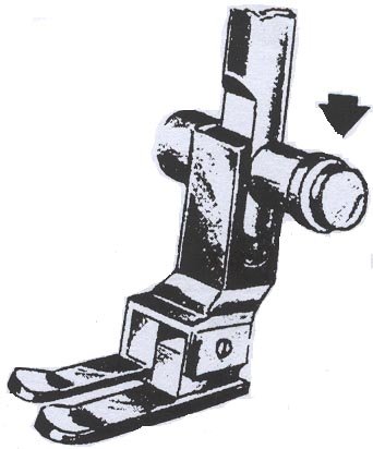 image2109.jpg