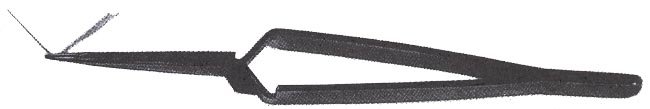image2121.jpg