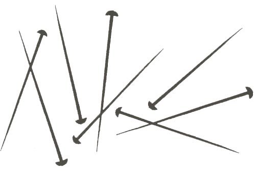 image2169.jpg