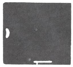 image2189.jpg