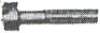 image2285_small.jpg