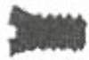 image2299_small.jpg