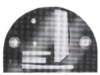 image304_small.jpg