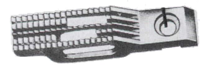 image424.jpg