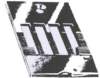 image531_small.jpg