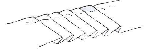 image1929.jpg