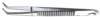 pinza1_small.jpg