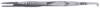 pinza2_small.jpg
